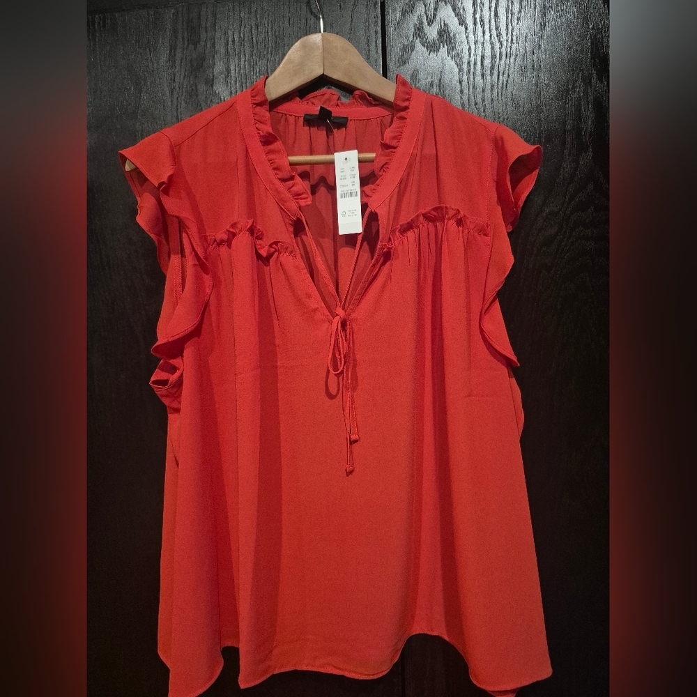Gorgeous J.Crew Top NEW sz 2X
